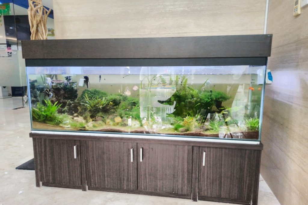 Aquarium 200 Gallon 8 MindBlowing Tips