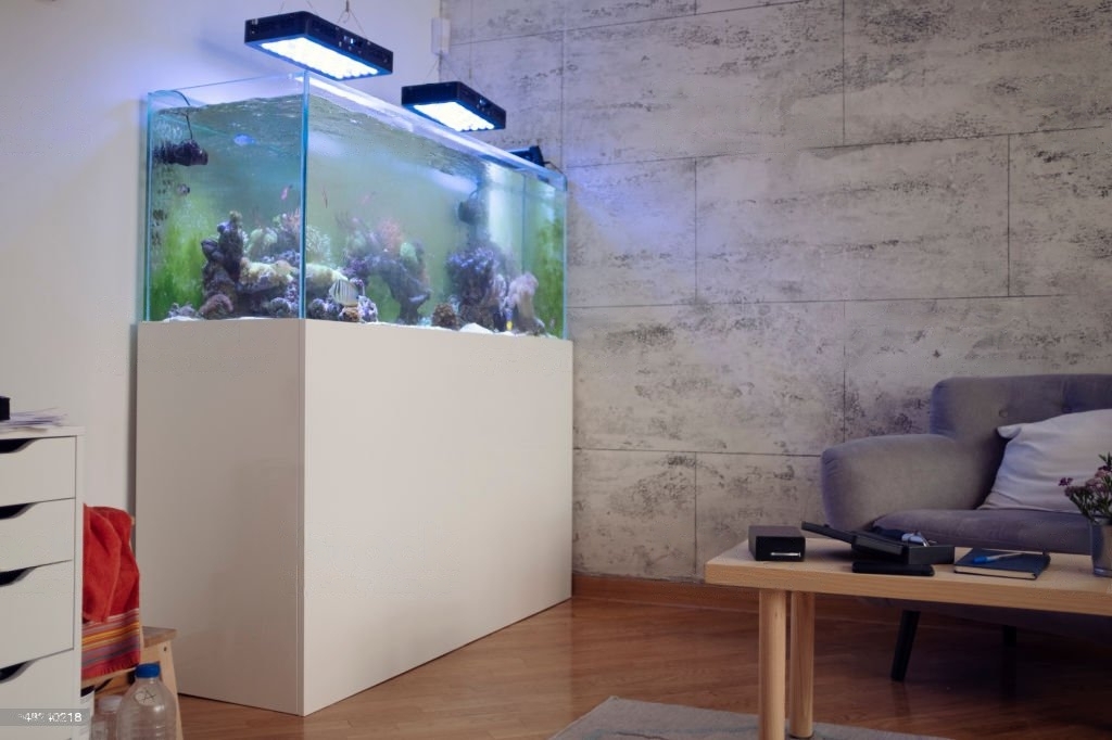 Are Led Aquarium Lights Good for Plants?