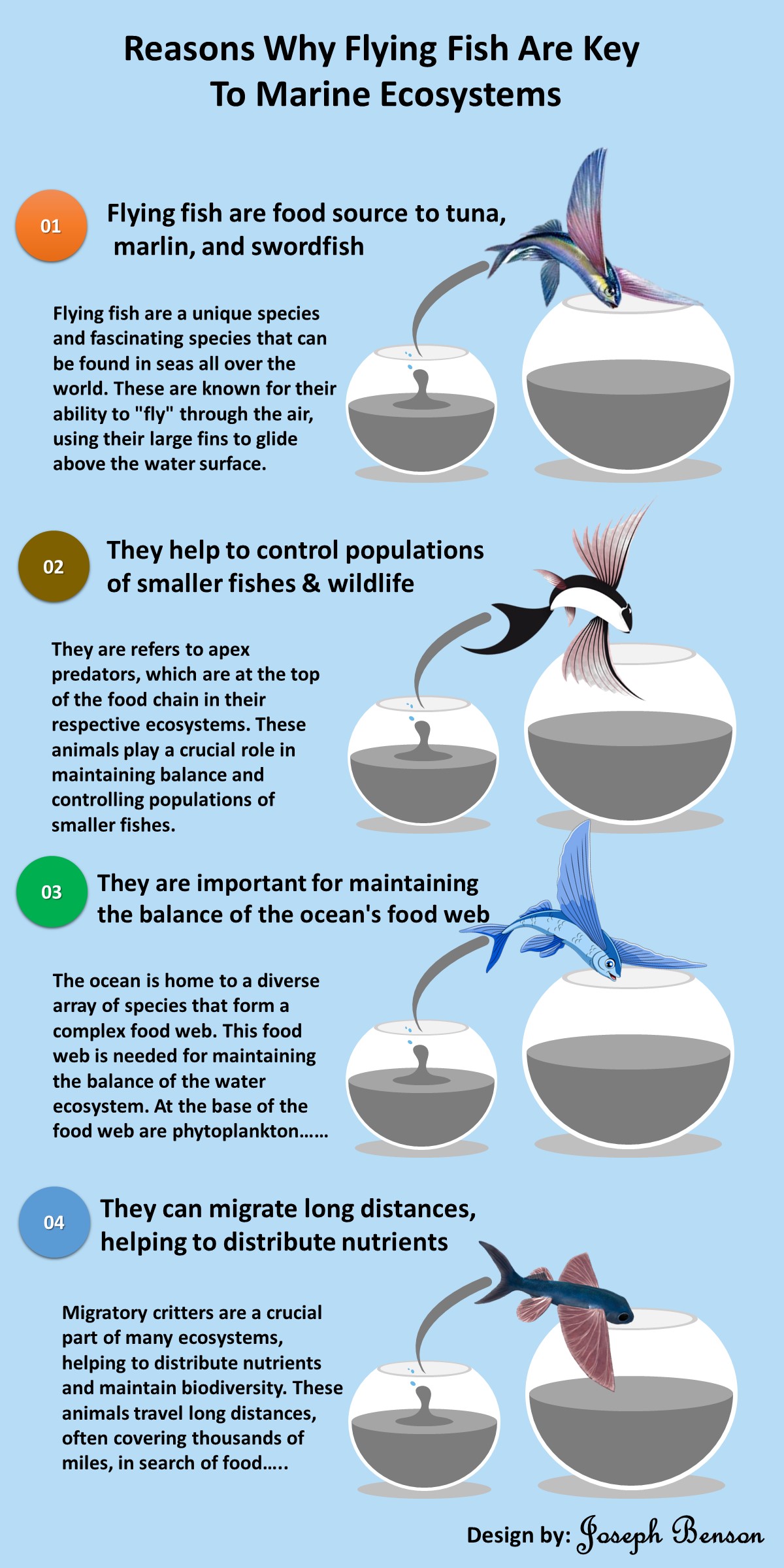 10 Reasons Why Flying Fish Are Key To Marine Ecosystems