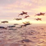 7 Mind-blowing Facts About The Aerodynamics Of Flying Fish | Flying Fish Facts