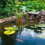 List Of Top 10 Koi pond builders | Priceless Discovery