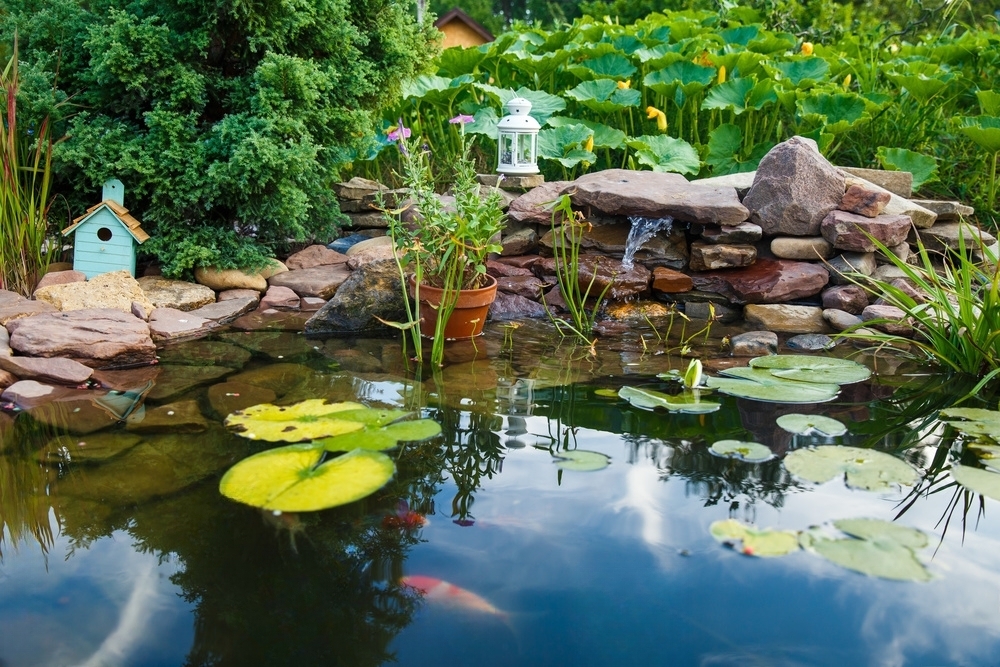 List Of Top 10 Koi pond builders | Priceless Discovery