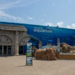 Aquarium On Long Island | Discover All Top 3 Best Aquarium