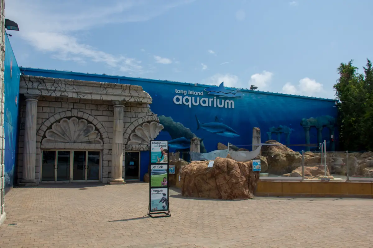 Aquarium On Long Island | Discover All Top 3 Best Aquarium