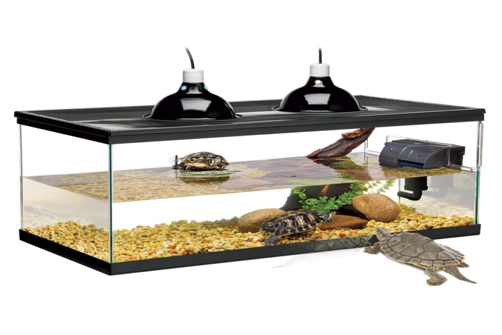 Aquarium For Turtle