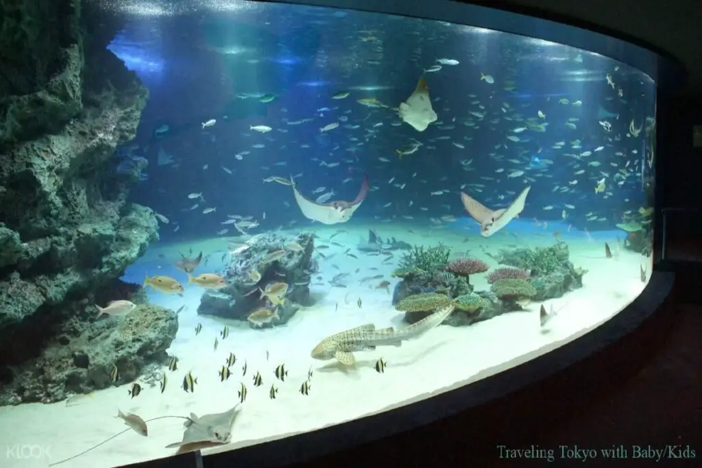 Aquarium On Long Island