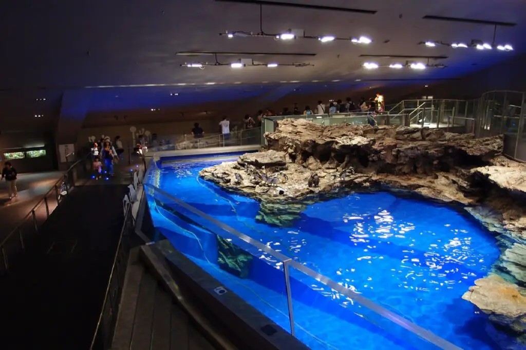 Aquarium Tokyo