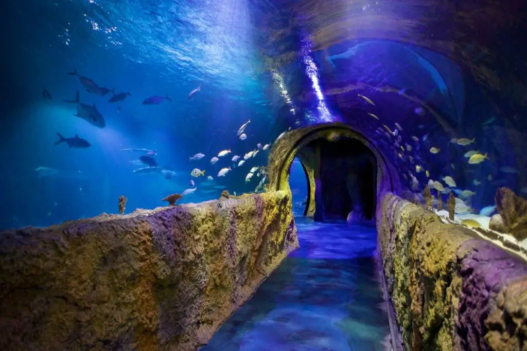 Sea Life Orlando Aquarium
