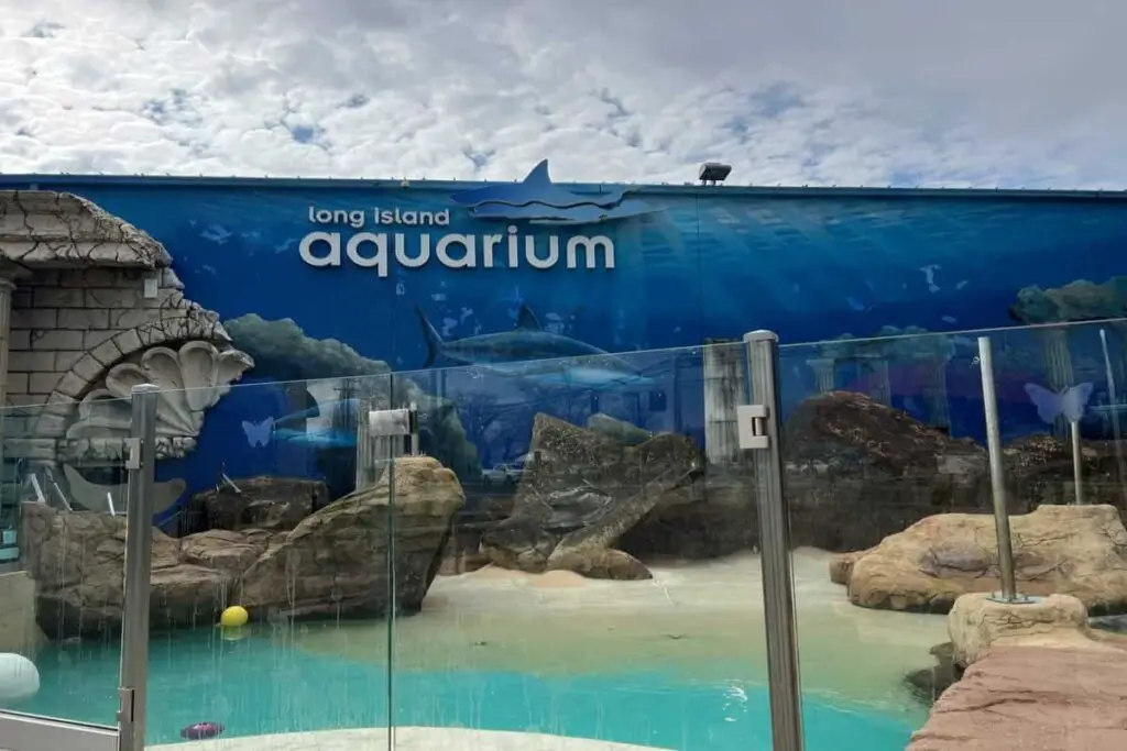 Long Island Aquarium Tickets Groupon
