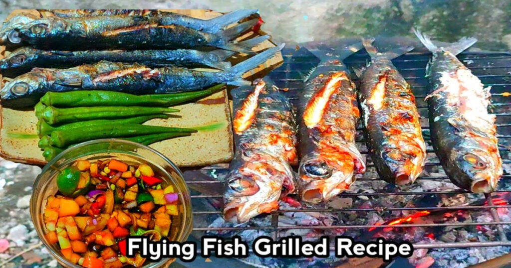 Types of Flying Fish