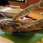 Do Flying Fish Taste Good? Things You Don’t Know About Flying Fish