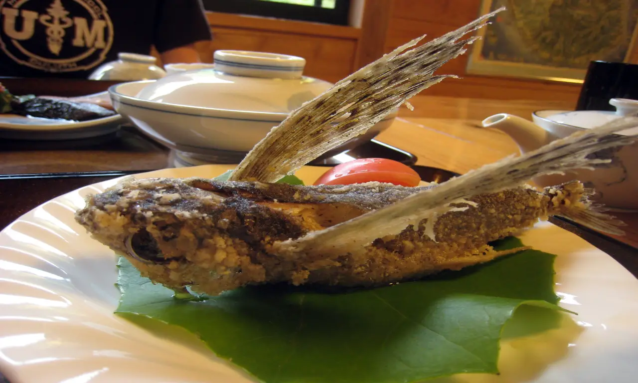 Do Flying Fish Taste Good? Things You Don’t Know About Flying Fish