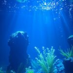 5 Best Aquarium Lamp You Can Buy Now